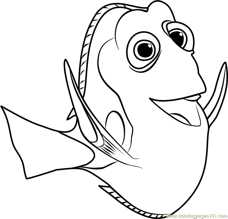 28 Nemo And Dory Coloring Pages Pictures Free Coloring Pages 800x766 28 Nemo And Dory Coloring Pages Pictures Free Coloring Pages