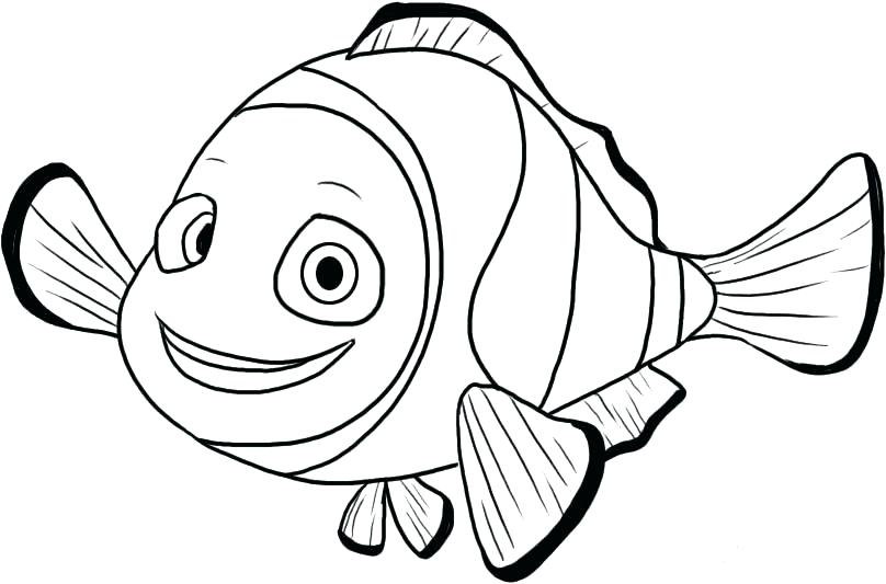 Finding Dory Coloring Pages Printable Finding Coloring Pages Free 808x533 Finding Dory Coloring Pages Printable Finding Coloring Pages Free