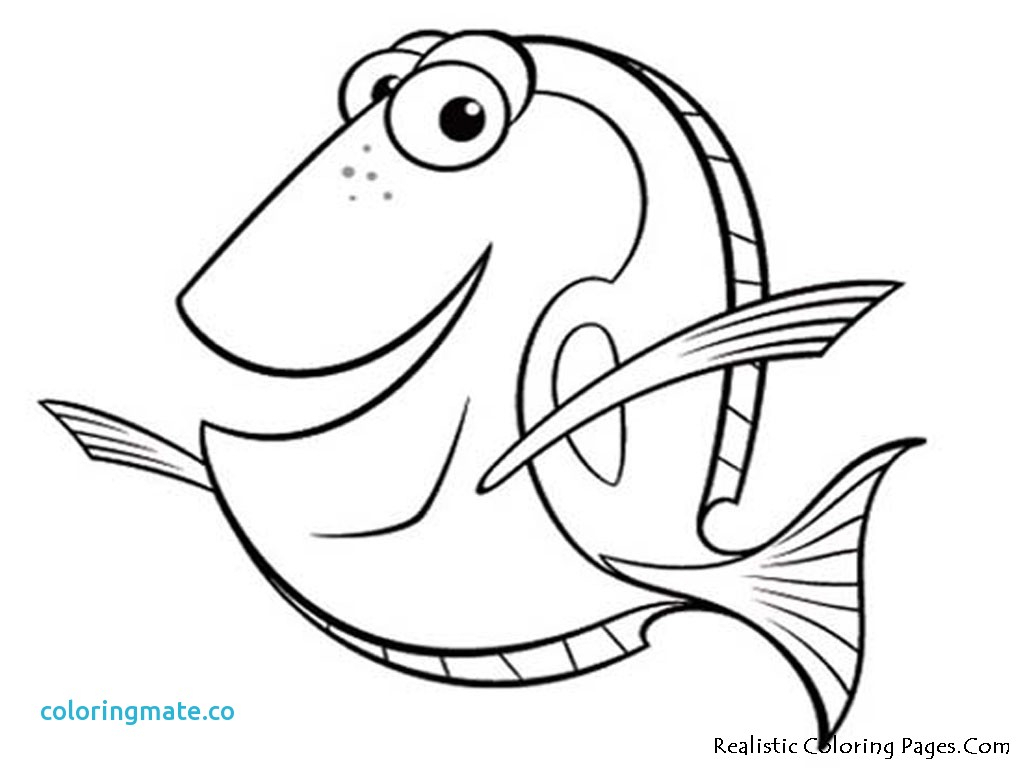 Dory Coloring Pages Image Design Disneysng Sheet Free Disney 1024x768 Dory Coloring Pages Image Design Disneysng Sheet Free Disney