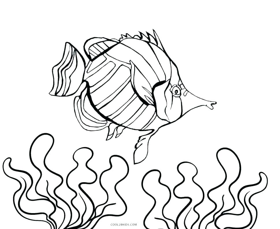 Finding Nemo Printable Coloring Pages Coloring Page Aquarium 970x793 Finding Nemo Printable Coloring Pages Coloring Page Aquarium