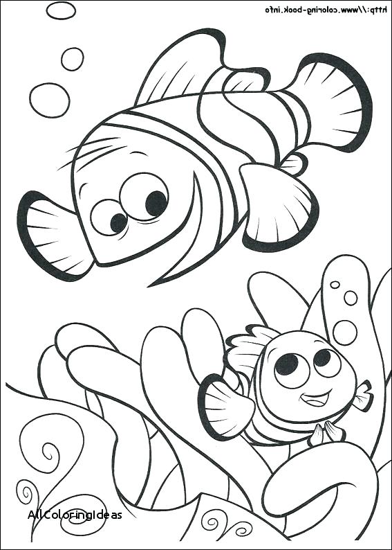 Finding Nemo Printable Coloring Pages Free Online Finding Nemo 567x794 Finding Nemo Printable Coloring Pages Free Online Finding Nemo