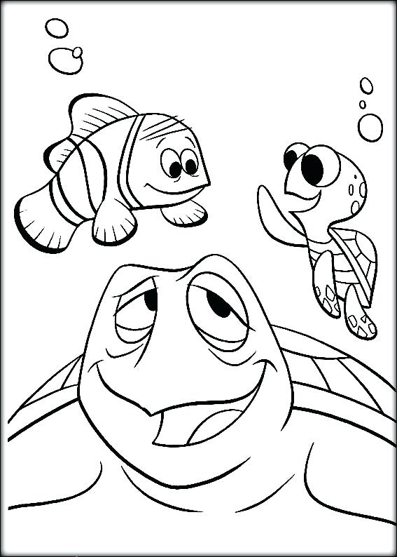 Squirt Finding Coloring Pages Printable Color Free Finding Nemo 567x794 Squirt Finding Coloring Pages Printable Color Free Finding Nemo