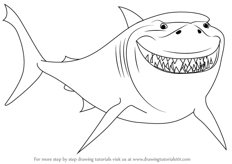800x566 Learn How To Draw Bruce From Finding Nemo (Finding Nemo) Step By