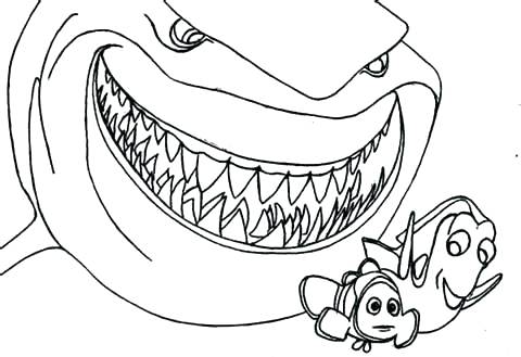 Finding Nemo Coloring Page Finding Nemo Characters Coloring Pages 480x329 Finding Nemo Coloring Page Finding Nemo Characters Coloring Pages