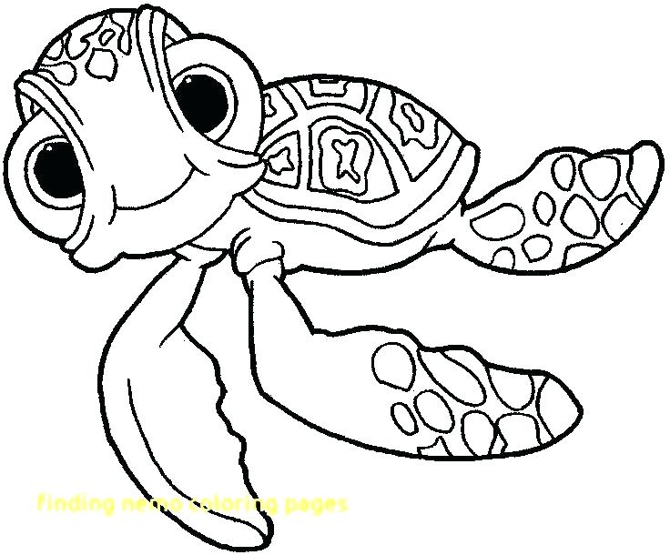 736x610 Finding Nemo Coloring Page Finding Coloring Page Finding Coloring