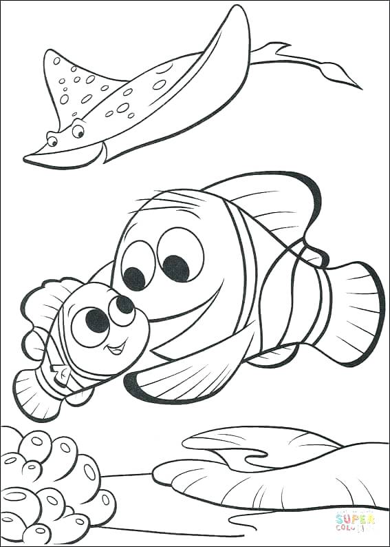 567x794 Finding Color Pages Click The Marlin Is Finding Coloring Free