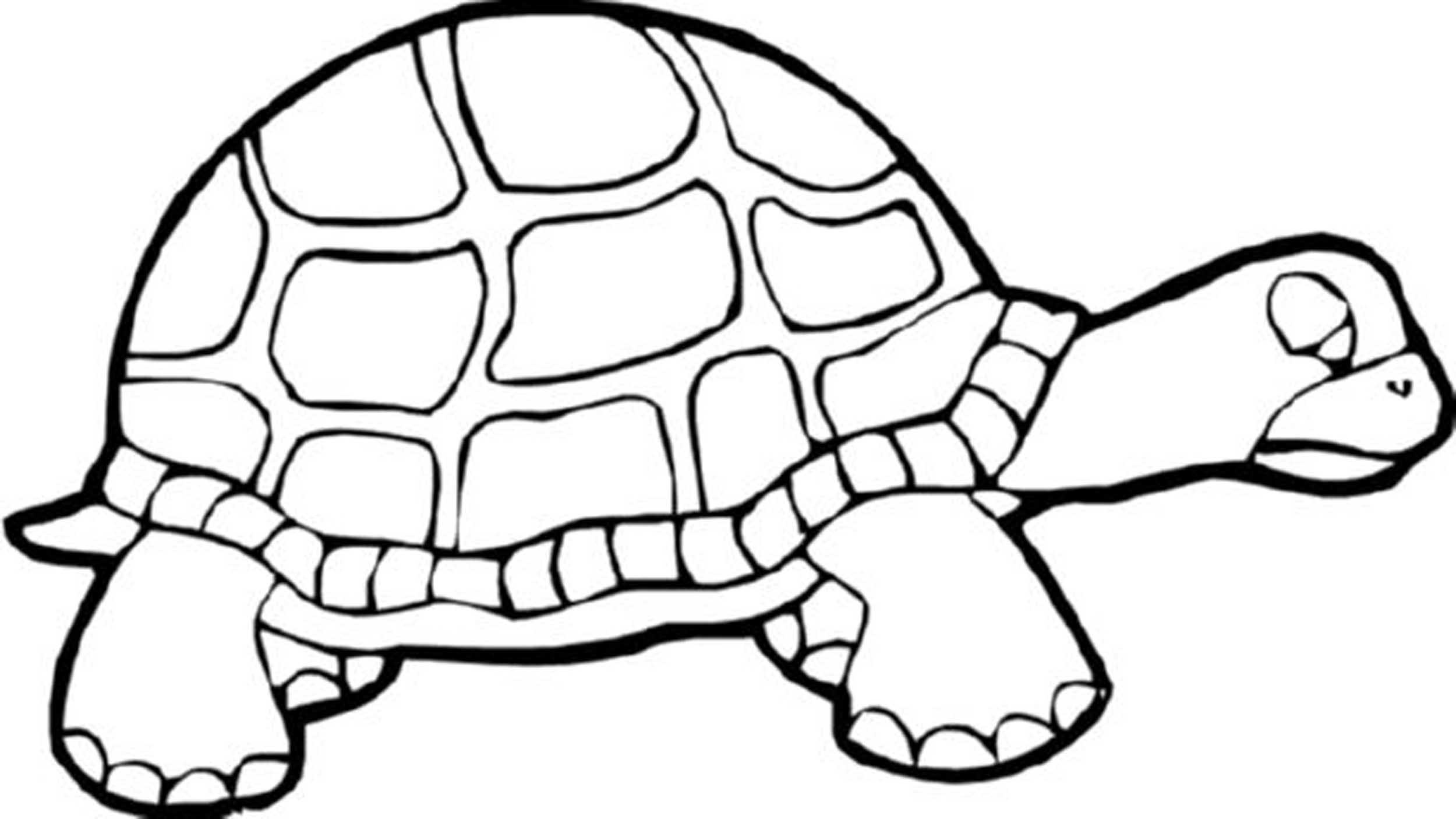 Finding Nemo Turtle Coloring Pages at GetColorings.com | Free printable ...