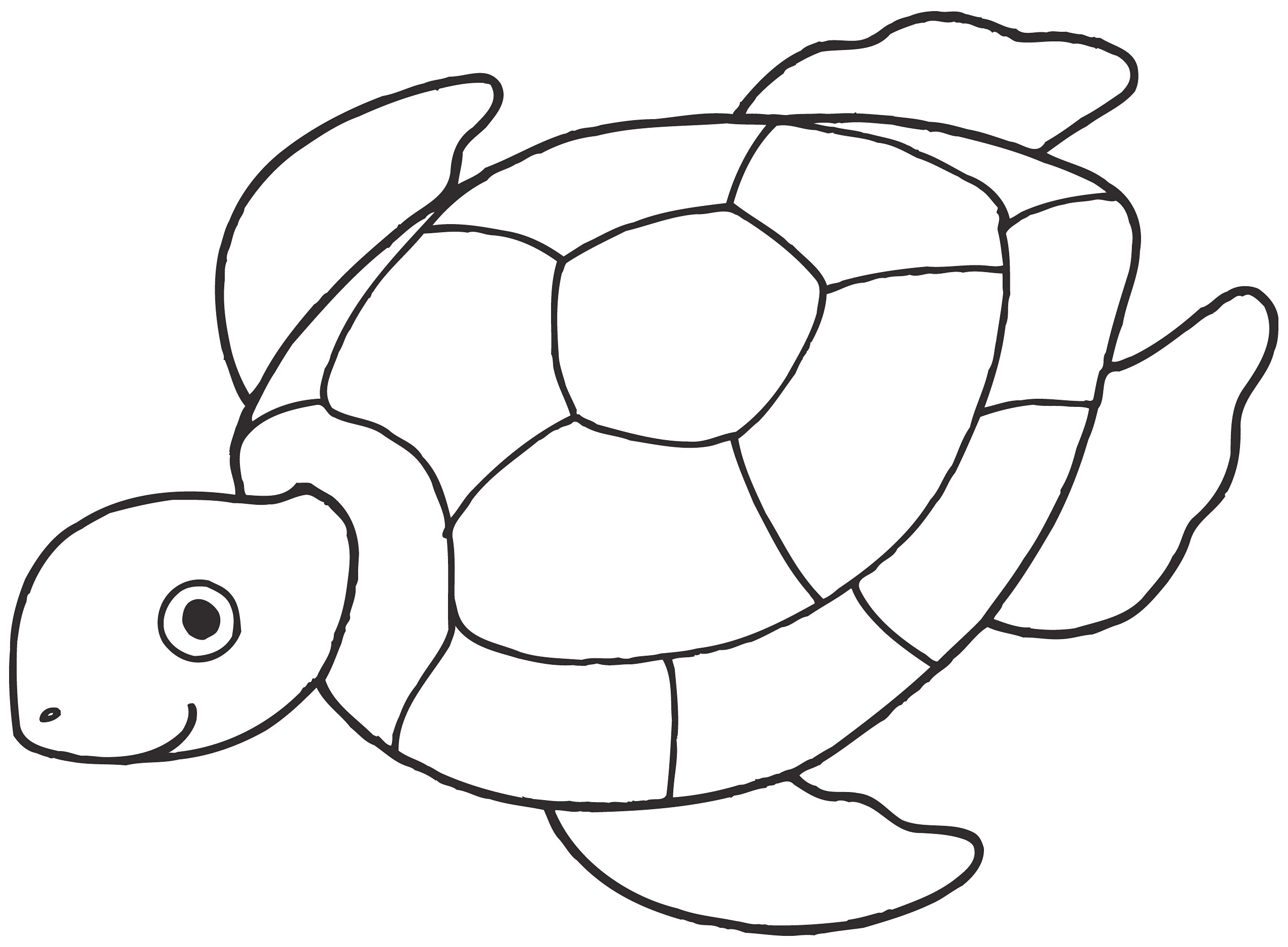 2550x1876 Sea Turtle Coloring Pages 7597 Free