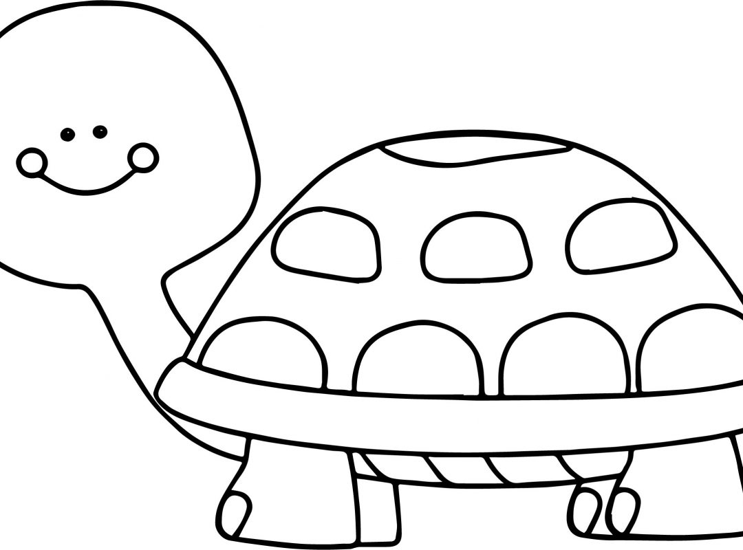 1080x800 Cute Turtle Coloring Page Free Colouring Pictures To Print