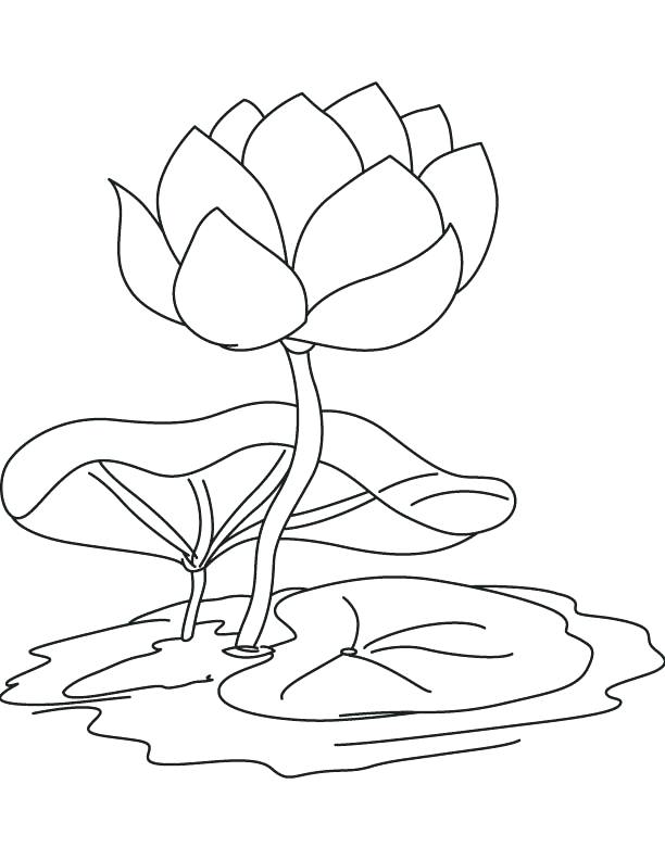 Fingernail Coloring Page at GetColorings.com | Free printable colorings ...