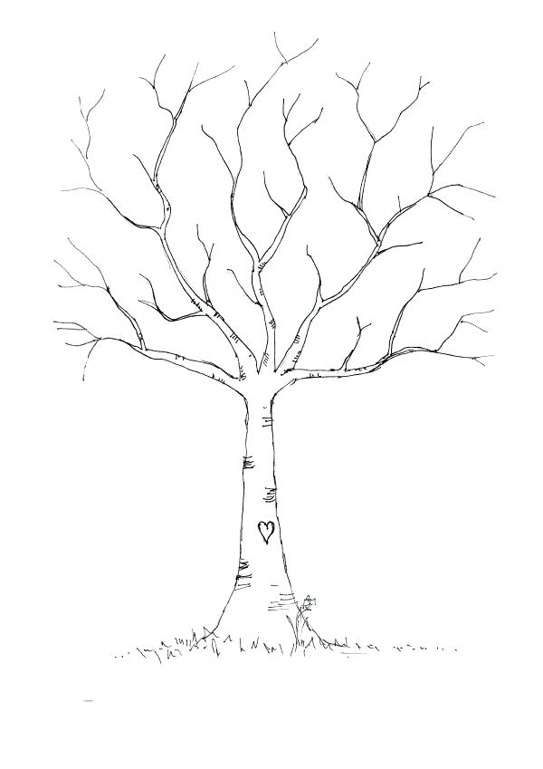 Charming Tree Without Leaves Coloring Page X Fall Tree Leaves 600x849 Charming Tree Without Leaves Coloring Page X Fall Tree Leaves