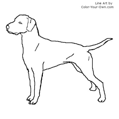 Best Photos Of Dalmatian Fire Safety Printable Fire, Dalmatian 500x500 Best Photos Of Dalmatian Fire Safety Printable Fire, Dalmatian