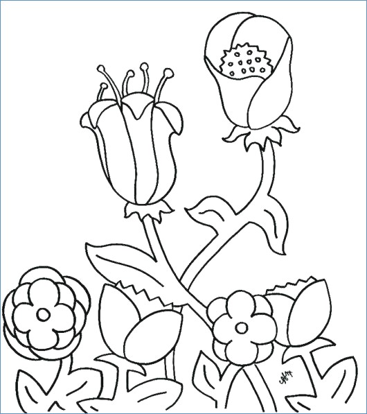 First Day Of Spring Coloring Pages at GetColorings.com | Free printable ...