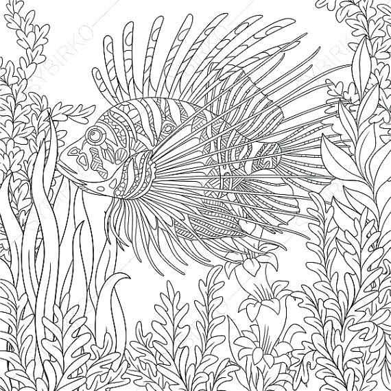 570x570 Fish Coloring Pages For Adults Devil Page Adult By Free Coloring