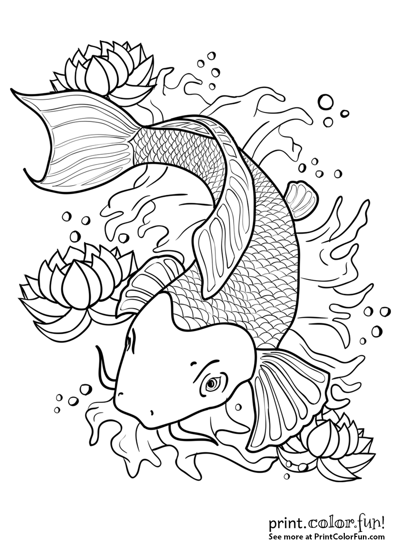 800x1100 Koi Fish In A Pond Coloring Page Print Color Fun Best Of Pages
