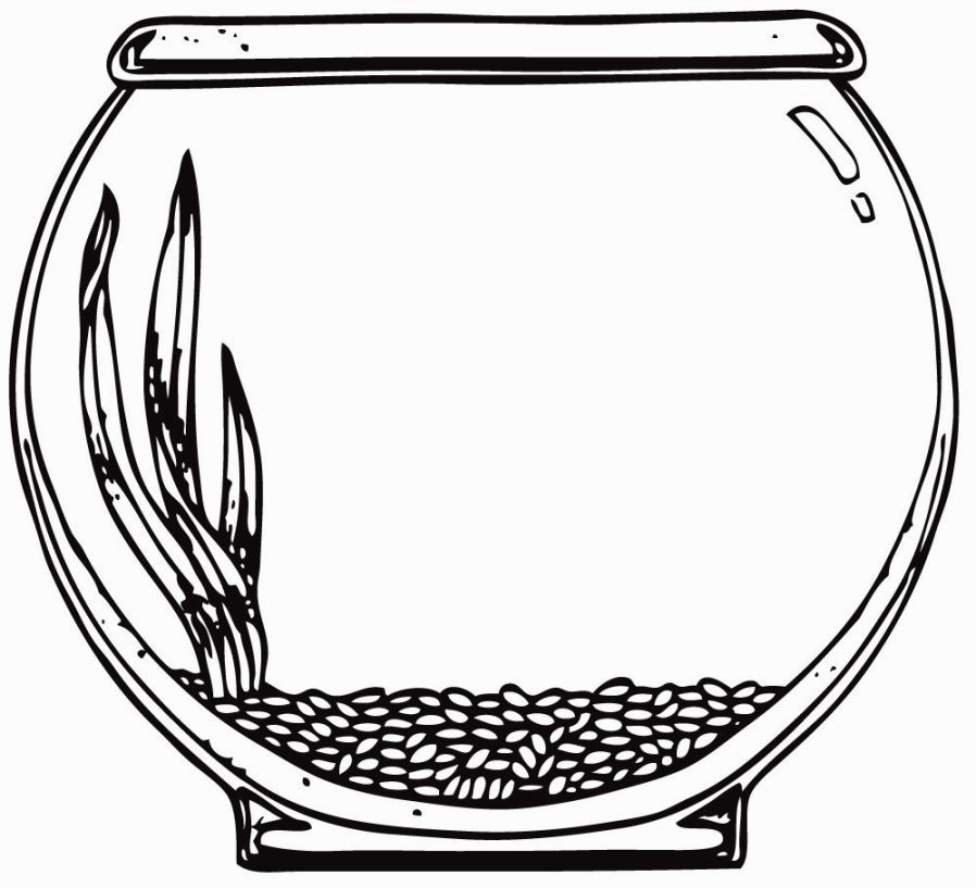 Image For Aquarium Coloring Page Printables 898x817 Image For Aquarium Coloring Page Printables