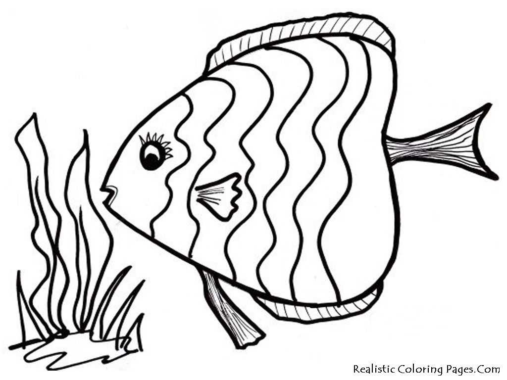 Fine Cartoon Fish Coloring Page Sheet Pages 1024x768 Fine Cartoon Fish Coloring Page Sheet Pages