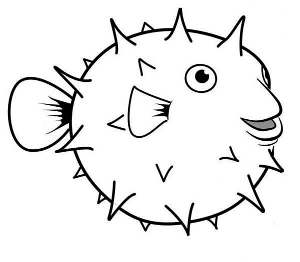 Puffer Fish, Happy Globefish Puffer Fish Coloring Page 600x525 Puffer Fish, Happy Globefish Puffer Fish Coloring Page