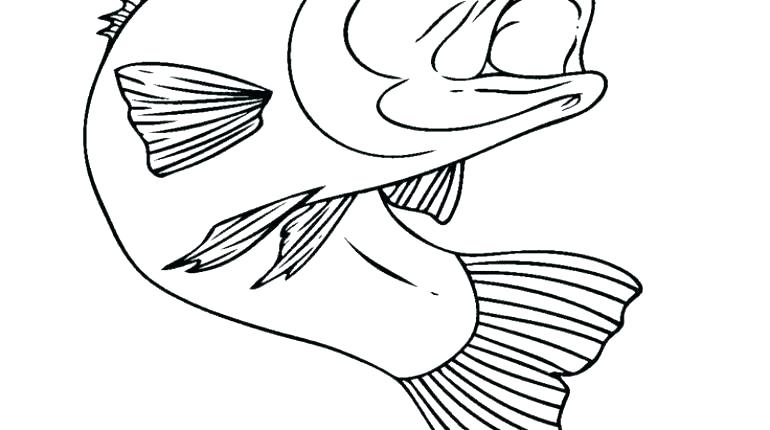 770x430 One Fish Two Fish Coloring Pages Fish Clip Art One Fish Two Fish