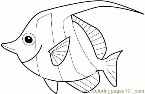 Fish Coloring Page Coloring Page 480x310 Fish Coloring Page Coloring Page
