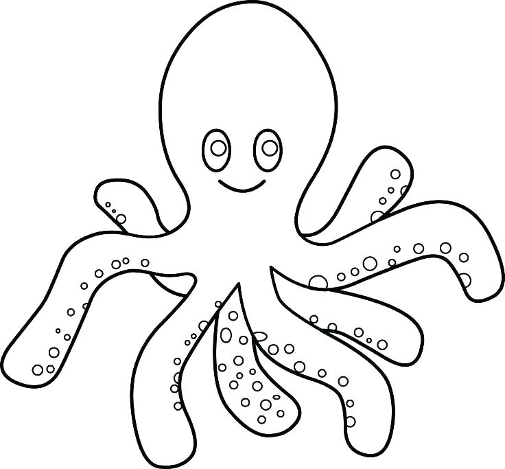 Fish Coloring Pages For Preschoolers Fish Coloring Pages For Free 736x683 Fish Coloring Pages For Preschoolers Fish Coloring Pages For Free