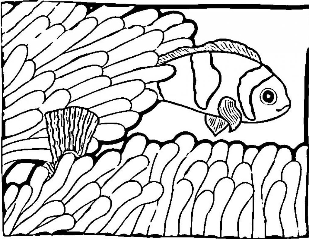 Free Printable Fish Coloring Pages For Kids 1024x793 Free Printable Fish Coloring Pages For Kids