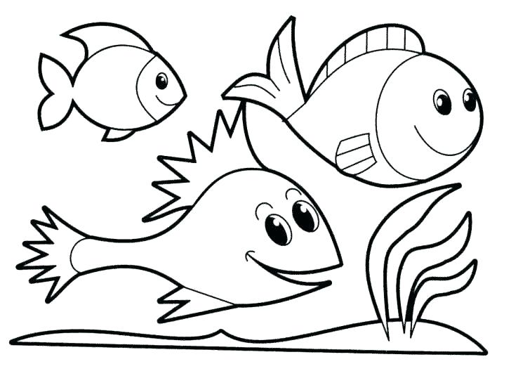Ocean Fish Coloring Pages Fish Template To Color Rainbow Fish Fish 728x555 Ocean Fish Coloring Pages Fish Template To Color Rainbow Fish Fish