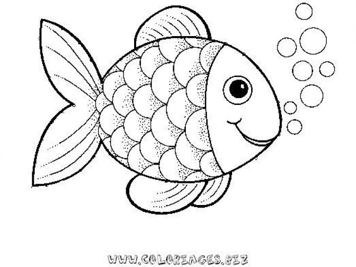 Preschool Rainbow Fish Coloring Sheet To Print For Free Creative 730x547 Preschool Rainbow Fish Coloring Sheet To Print For Free Creative