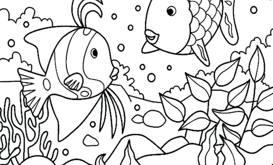 Coloring Page Of Fish Coloring Page Of Fish Fish Color Pages Fish 900x544 Coloring Page Of Fish Coloring Page Of Fish Fish Color Pages Fish
