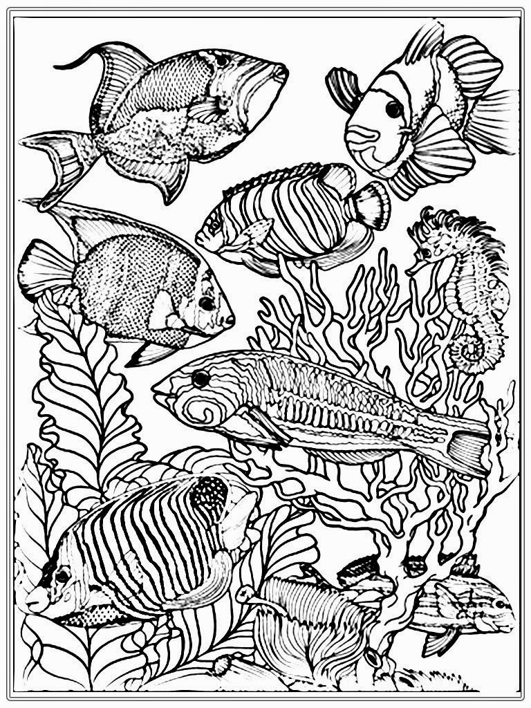 768x1024 Fish Coloring Pages Adults Adult Free Fish Coloring Pages