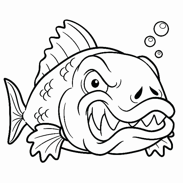 600x600 Fishing Coloring Pages Printable Bass Fish Coloring Pages Adult