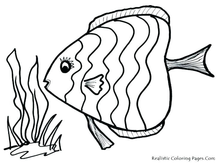 728x546 Printable Fish Coloring Pages Cute For Adults Free