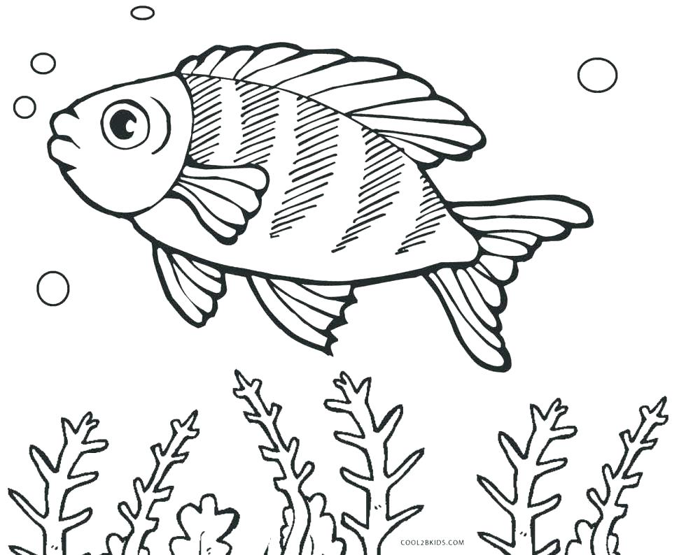 Fish Color Pages Fish Coloring Pages Big Eyes Ocean Fish Color 970x794 Fish Color Pages Fish Coloring Pages Big Eyes Ocean Fish Color