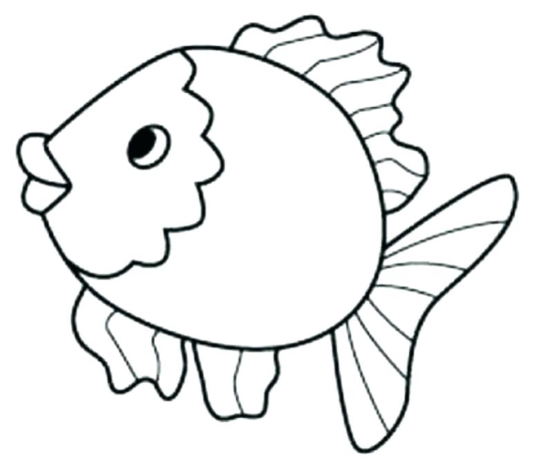 Free Printable Fish Fish Coloring Pages Printable Fish Coloring 800x680 Free Printable Fish Fish Coloring Pages Printable Fish Coloring