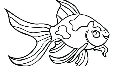 Coloring Pages Fish Coloring Fish Pictures Fish Coloring Picture 500x280 Coloring Pages Fish Coloring Fish Pictures Fish Coloring Picture