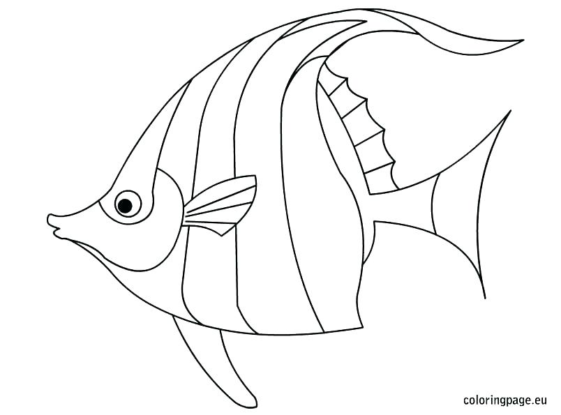 Fish Coloring Pages For Preschool Rainbow Fish Coloring Best 804x595 Fish Coloring Pages For Preschool Rainbow Fish Coloring Best