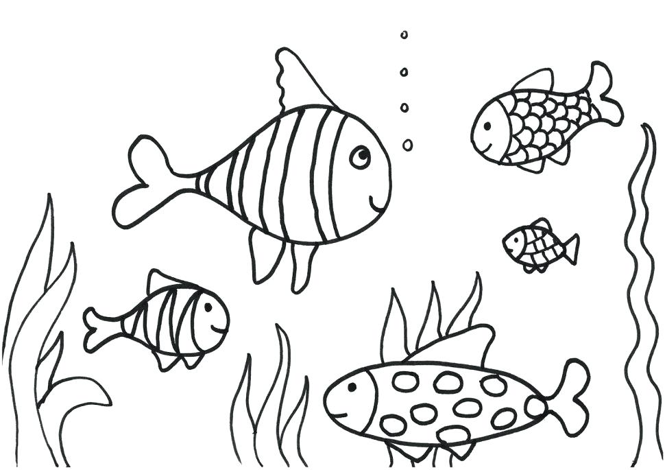 Fish Coloring Pages Printable Fish Coloring Pages For Preschoolers 970x685 Fish Coloring Pages Printable Fish Coloring Pages For Preschoolers