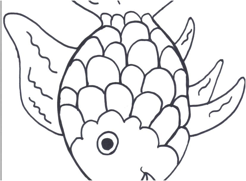 The Suitable Display Rainbow Coloring Sheet Perfect Rainbow Fish 827x609 The Suitable Display Rainbow Coloring Sheet Perfect Rainbow Fish