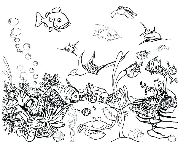 Fish Coloring Pages For Toddlers at GetColorings.com | Free printable ...