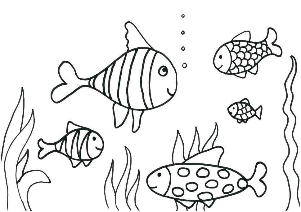 970x685 Fishing Coloring Pages Printable Realistic Fish Coloring Page