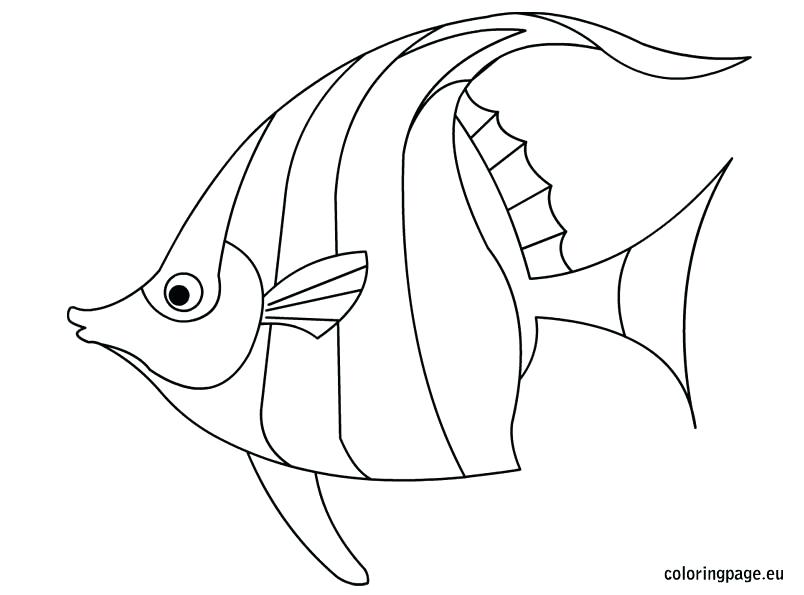 804x595 Fish Color Page Fish Coloring Page For Kids Rainbow Fish Coloring