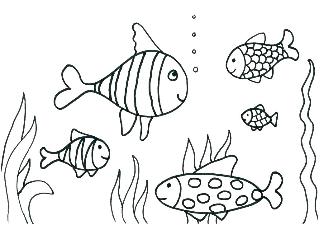 1024x723 Fish Coloring Pages Fishing Color Pages Fish Coloring Pages