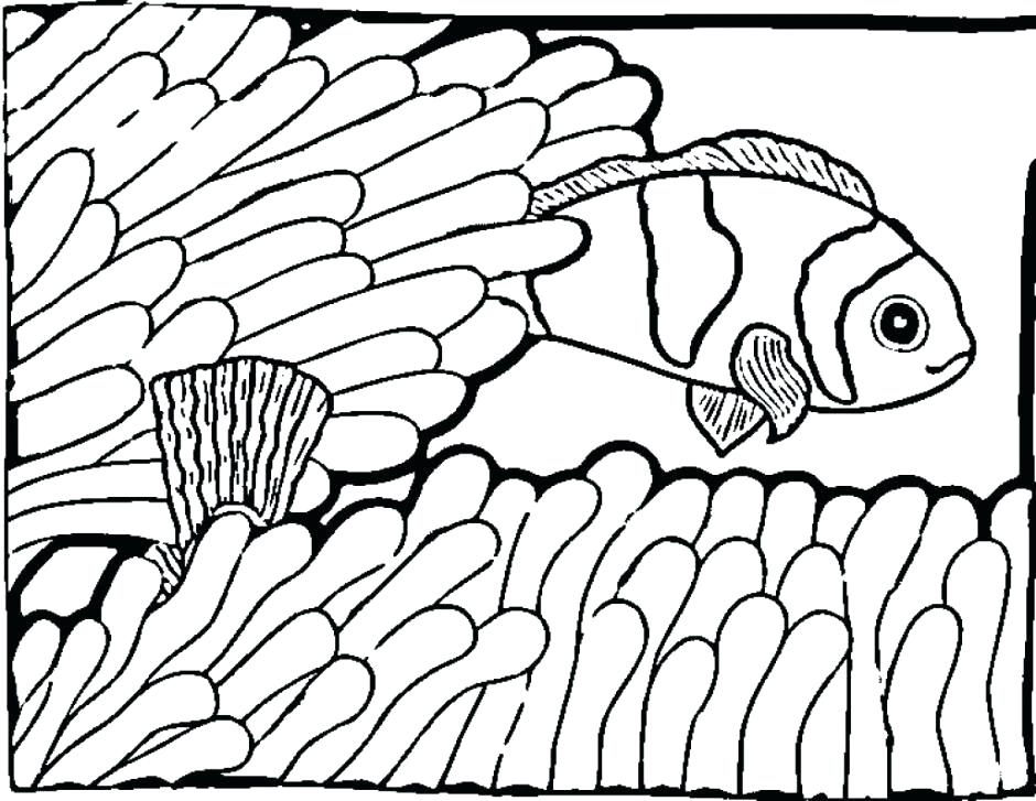 940x727 Fish Coloring Pages Pdf Coloring Pages And Coloring Pages Coloring