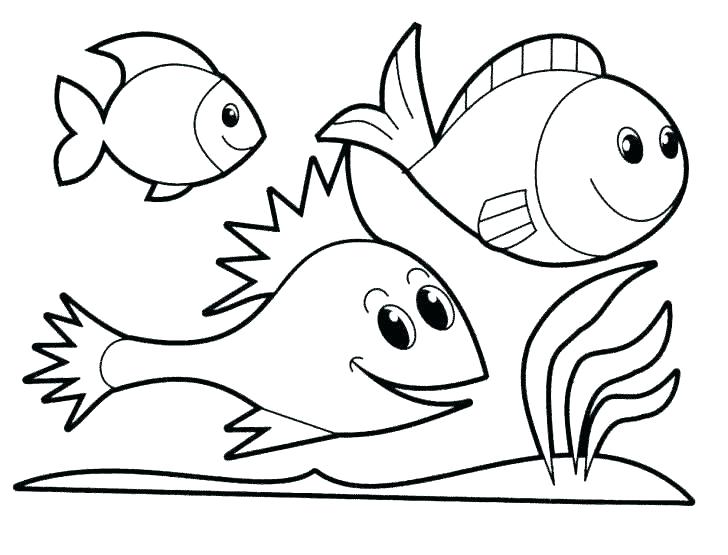 728x555 Coloring Page Of Fish Free Fish Coloring Pages Printable Coloring
