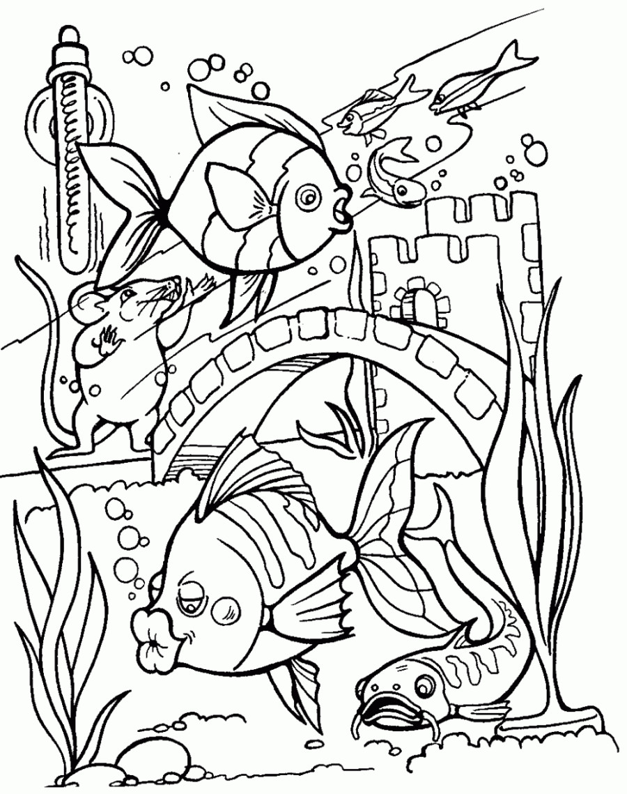 900x1139 Empty Fish Tank Coloring Page 5 Enchanting Pretty Background