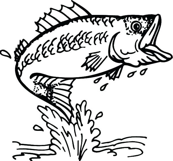 600x561 Fishing Coloring Page