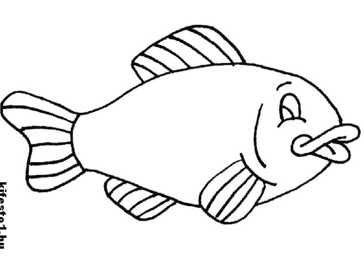 736x560 Fishing Lure Coloring Pages For Fish Color Dad And Son Clown Page