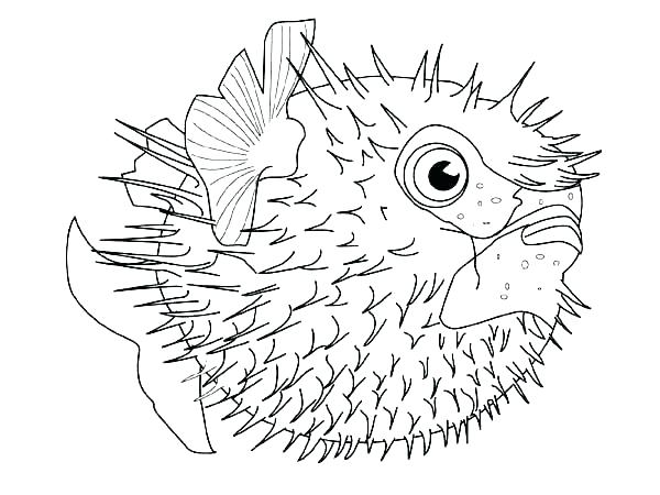 Fishing Rod Coloring Pages Animal Coloring Pages Sea Animals Fish 600x450 Fishing Rod Coloring Pages Animal Coloring Pages Sea Animals Fish