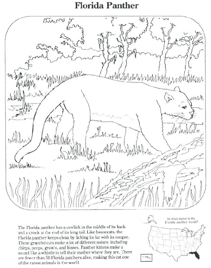 711x900 Flag Coloring Sheets