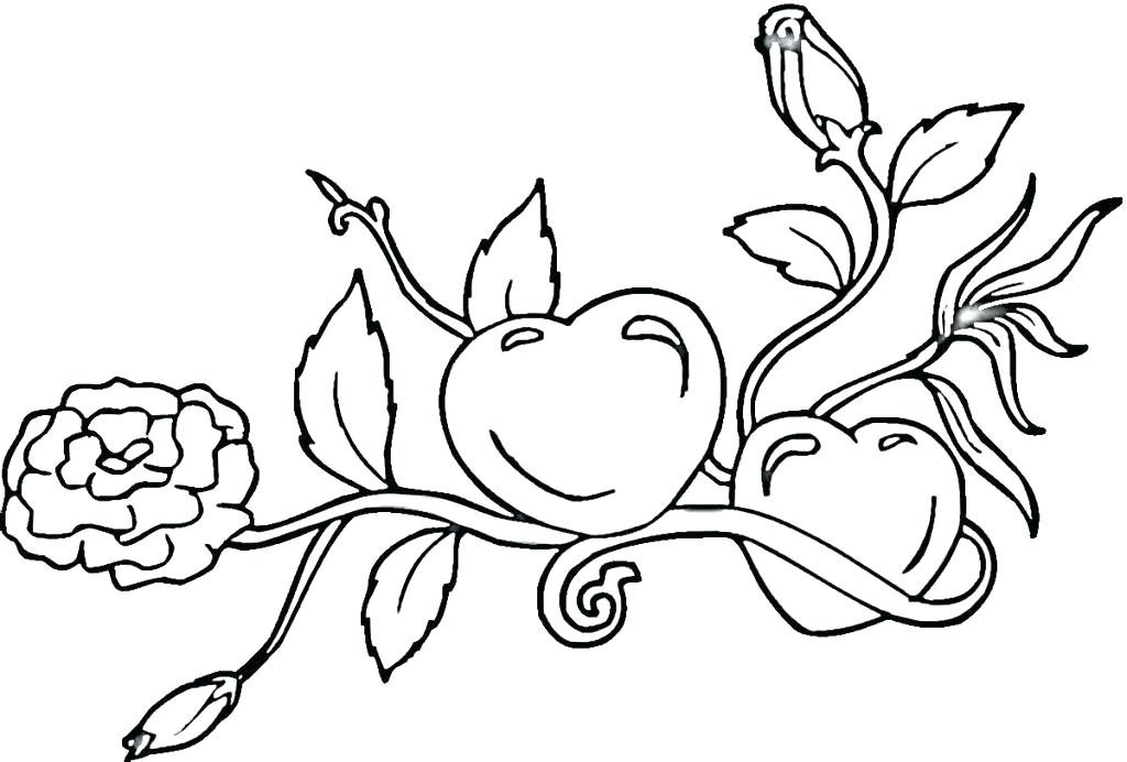 Flames Coloring Pages 1024x692 Flames Coloring Pages